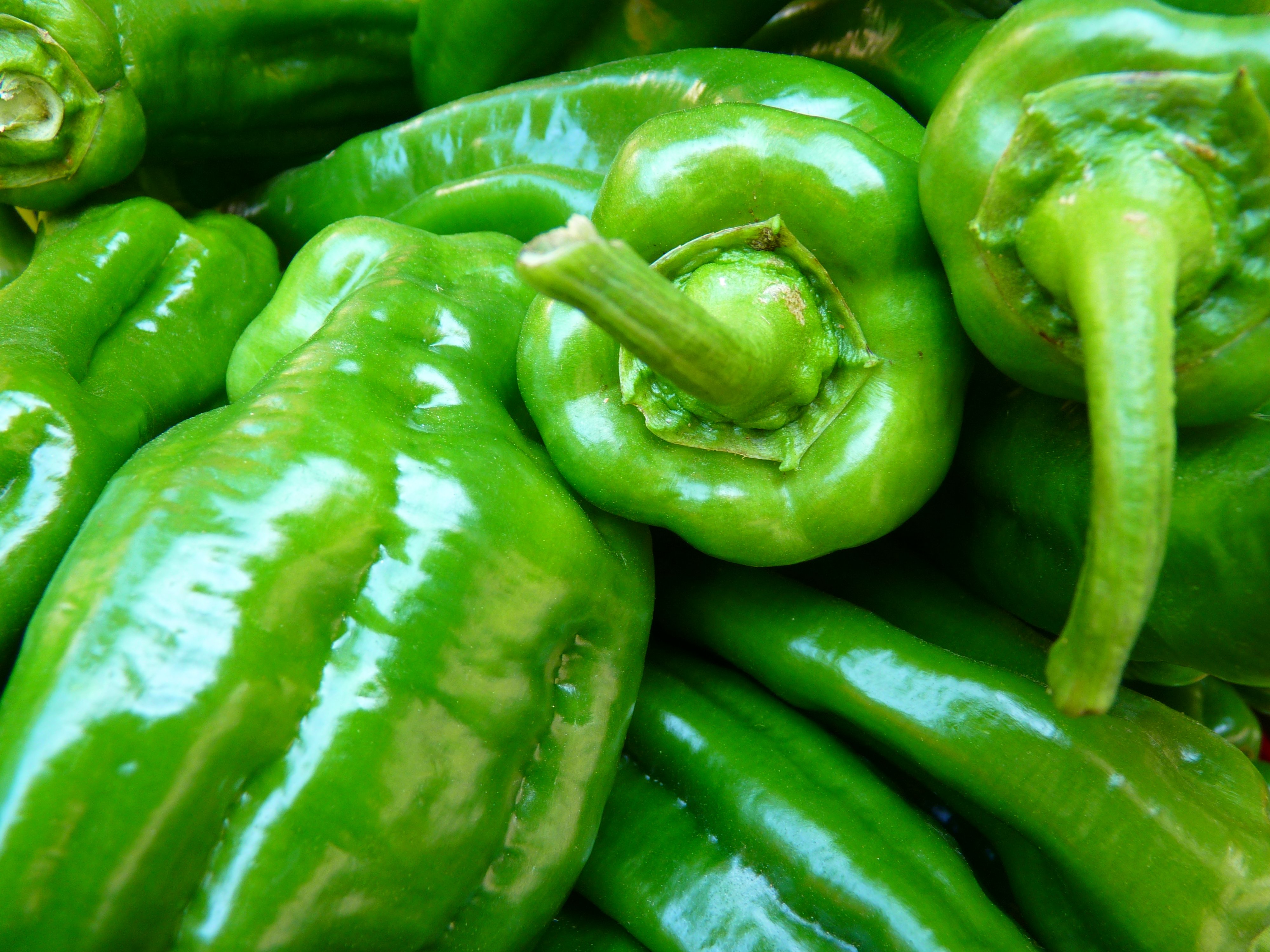 Featured image for “Peppers: Industry Expert Provides Market, Production Updates”