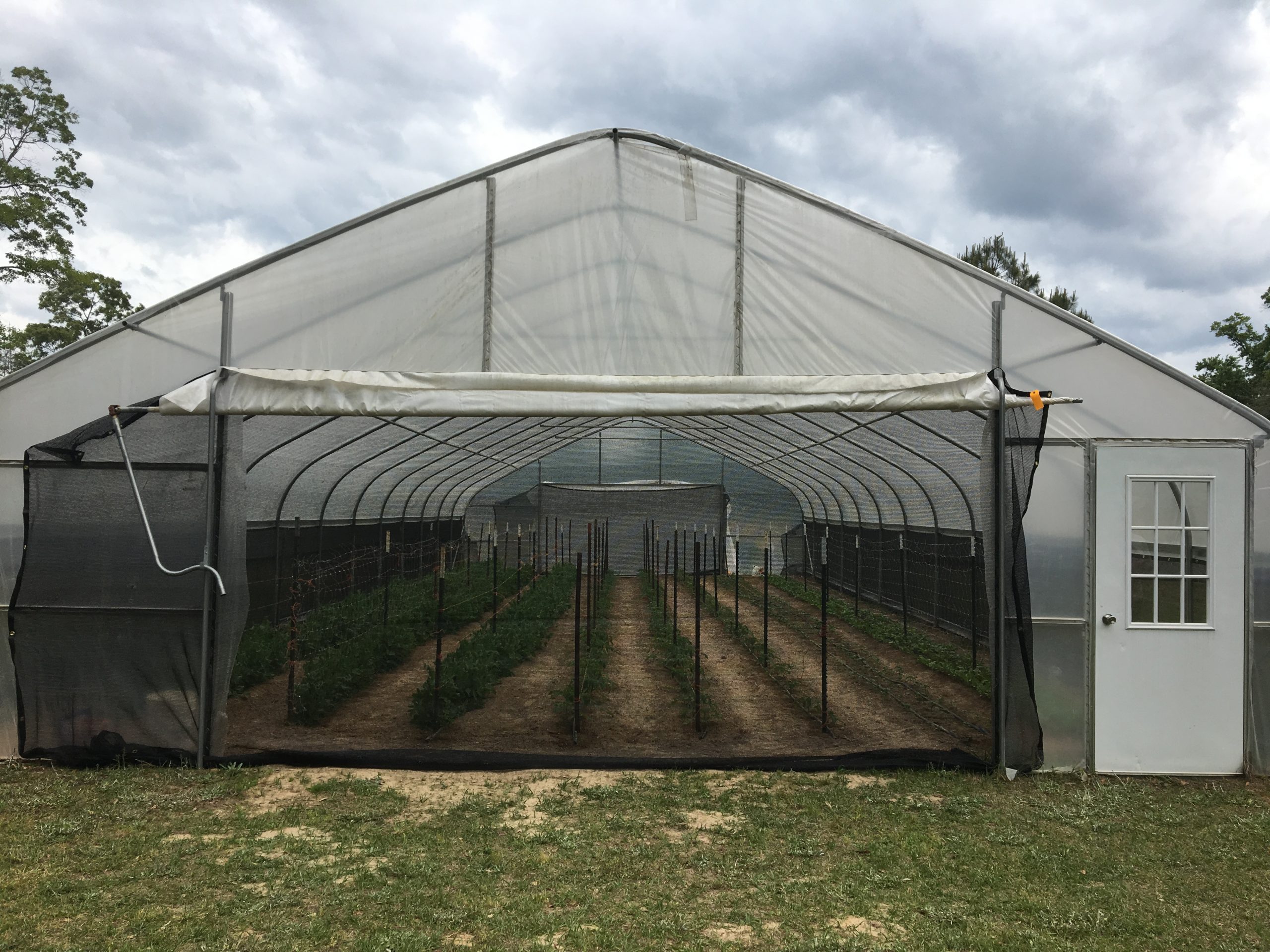 Featured image for “Alabama Extension to Host High Tunnel Vegetable Workshop”