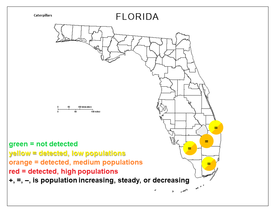 Featured image for “Caterpillar Pressure Varies Across Florida”
