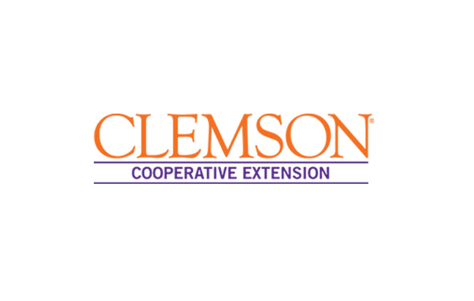 Featured image for “What’s Happening? Clemson Extension Agents Provide Updates”