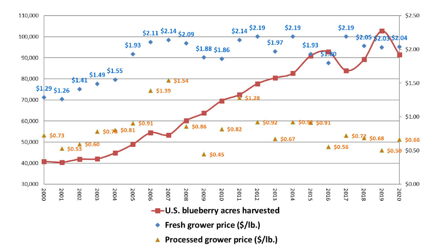 Featured image for “Blueberry Market Trends and Implications for Growers”