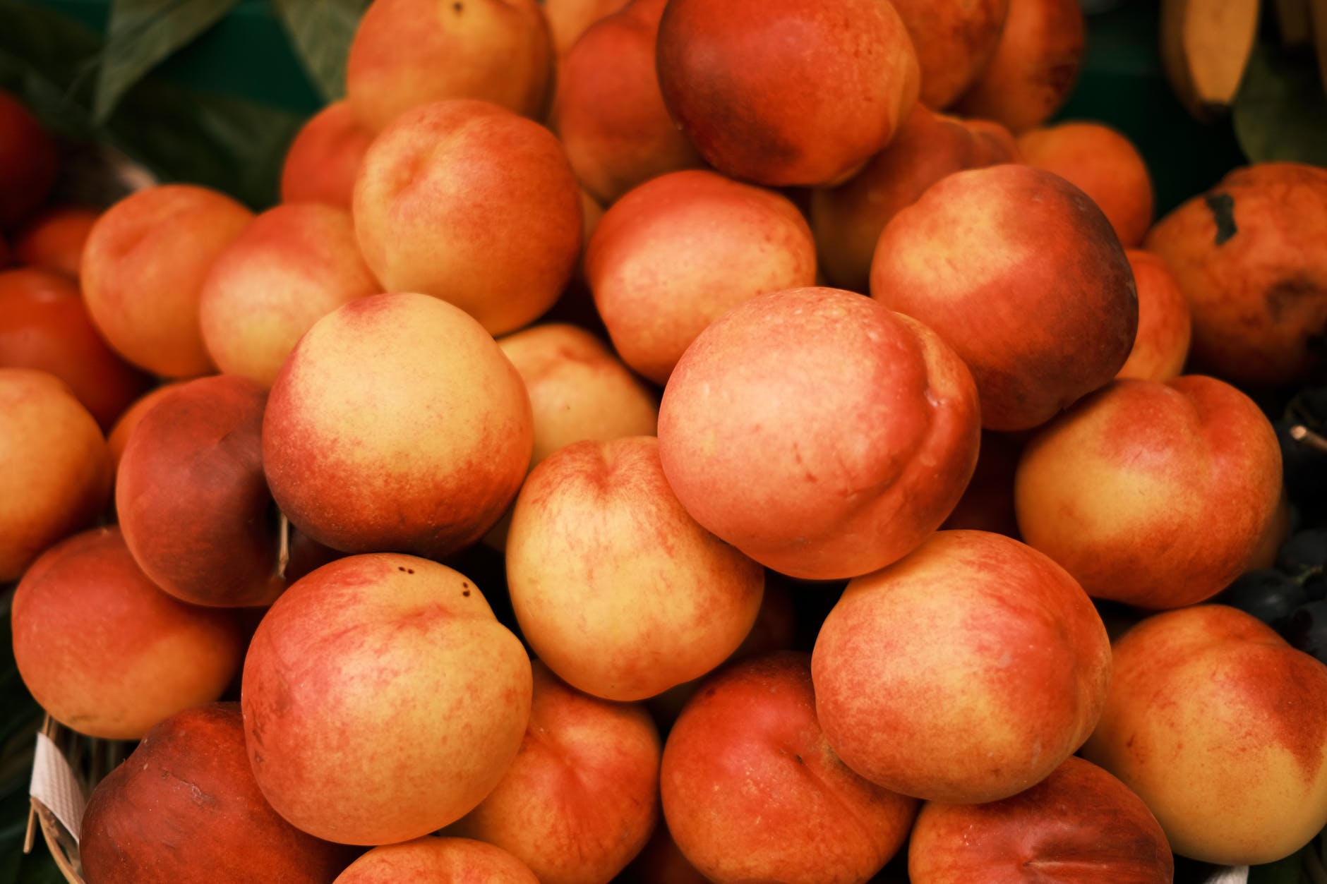 Featured image for “World Peach, Nectarine Production Update”