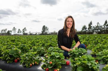 Florida Strawberry Growers