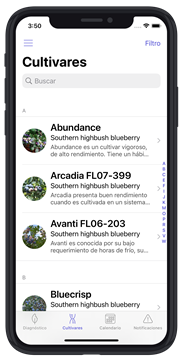 Spanish Version of Blueberry App