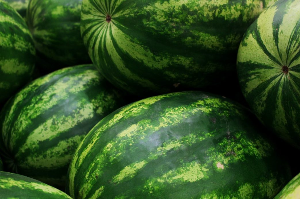 close up shot of watermelons