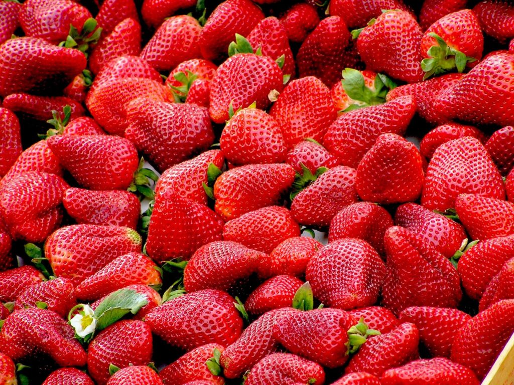 Strawberry Production