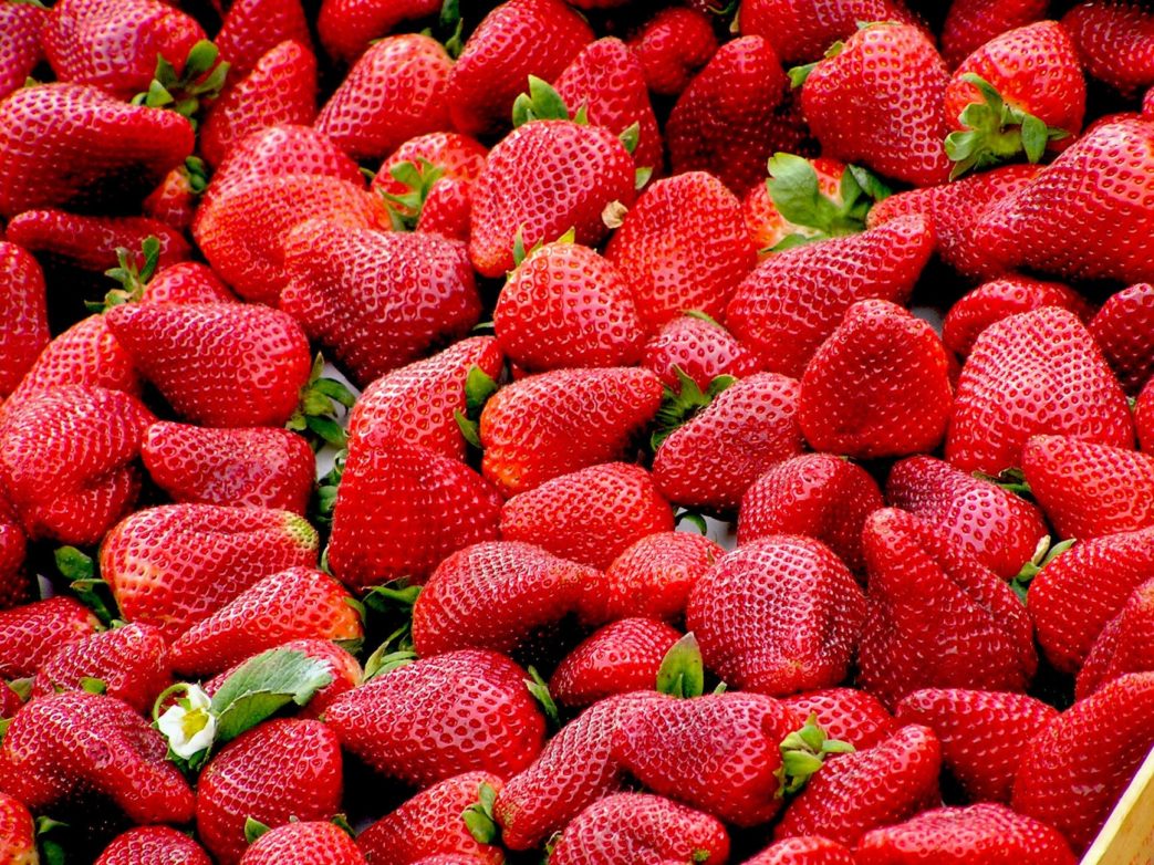 red strawberries fruit royalty free