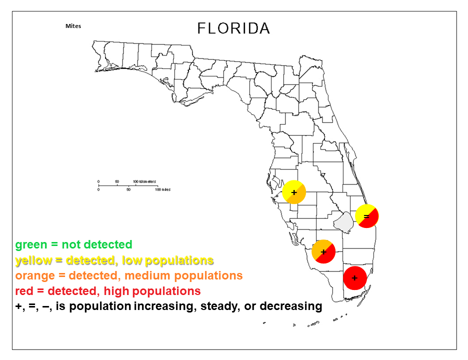 Featured image for “Mite Pressure Varies Across Florida”