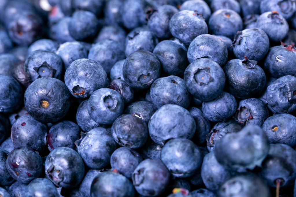 Florida Blueberry Growers Association