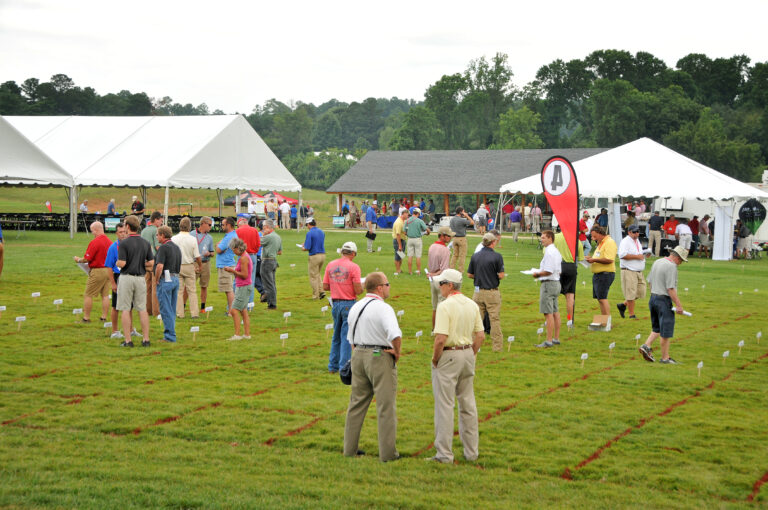 Featured image for “N.C. State to Host Turfgrass Field Day”
