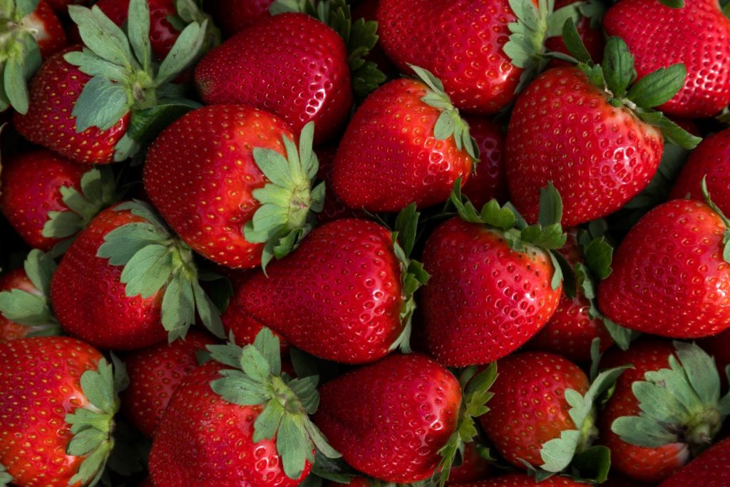  Alabama strawberry meeting